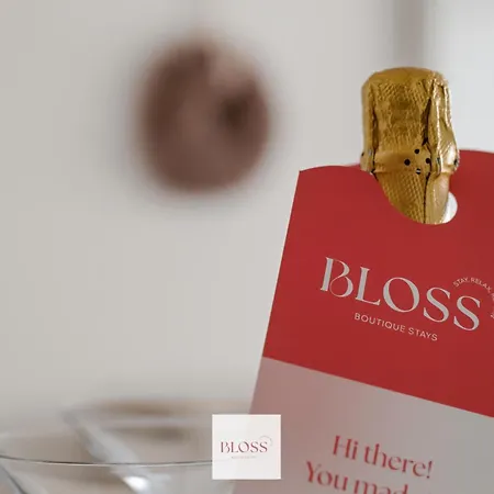 Cocoon By Bloss Ostend