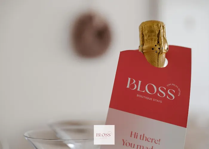 Cocoon By Bloss Ostend