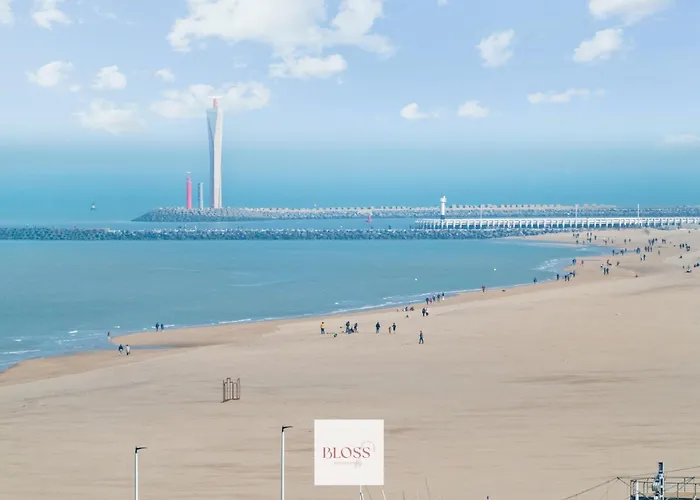 Cocoon By Bloss * Oostende