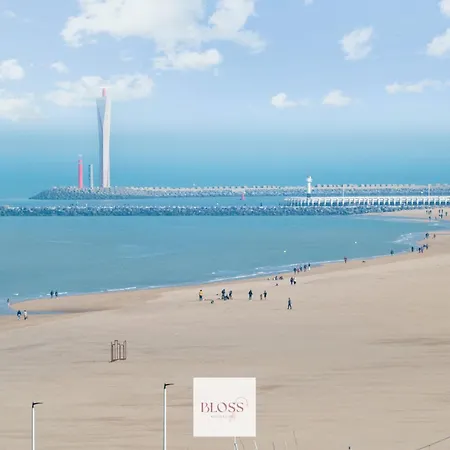 Cocoon By Bloss * Oostende